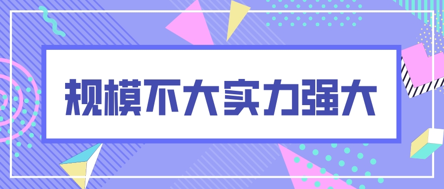 这四所大学规模不大，实力却不逊色于985/2