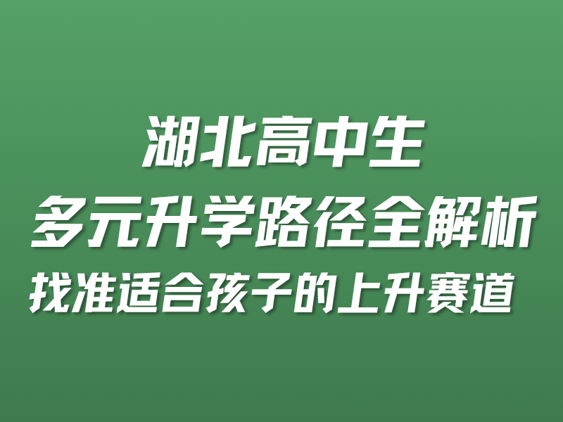 湖北高中生多元升学路径全解析，找准适合孩子的